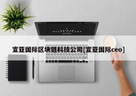 宣亚国际区块链科技公司[宣亚国际ceo]