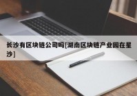 长沙有区块链公司吗[湖南区块链产业园在星沙]